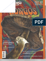 Revista Mexicana de Hongos - Corregida