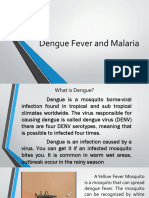 Dengue Fever and Malaria