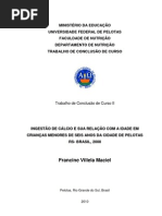 Trabalho de conclusão