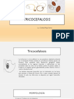 TRICOCEFALOSIS