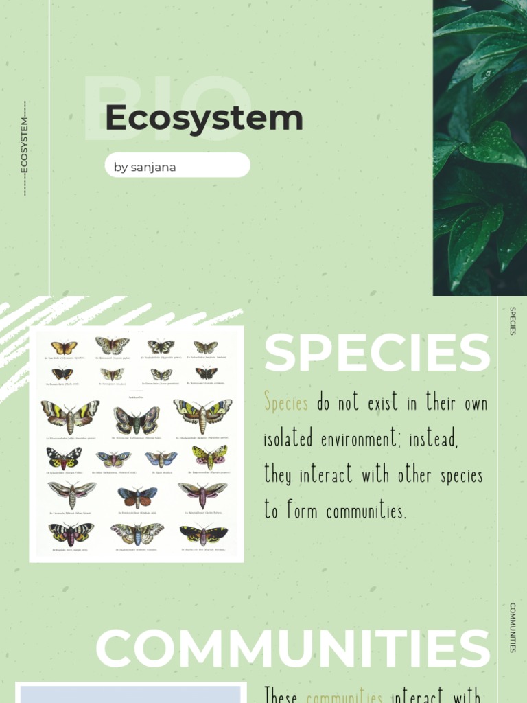 Ecosystem | PDF | Ecosystem | Natural Environment