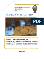 Informe Fuerza Magnetica