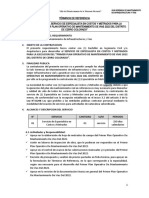 Terminos de Referencia Especialista Costos y Metrados