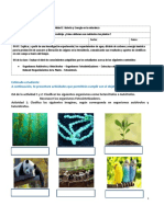 6º Ciencias Naturales Evaluacion Requerimientos de Las Plantas