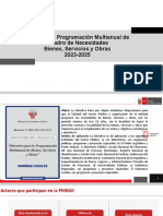 Ppt at Instructivo Pmbso_ Registro de Cn 2023
