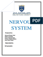 Nervous System: Prepared by