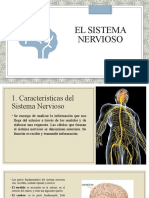 Sistema Nervioso