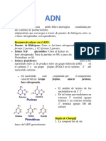 Resumen de enlaces en el ADN: Puentes de Hidrógeno: Unen a las bases nitrogenadas entre sí. A-T Enlace N-β-glucosídico: Unen al Azúcar en C1 con la Enlaces fosfodiester