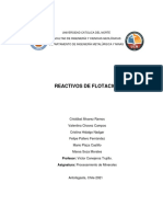 Informe-Reactivos de Flotación-Grupo N°4