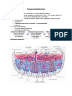 Fisiologia Placentaria