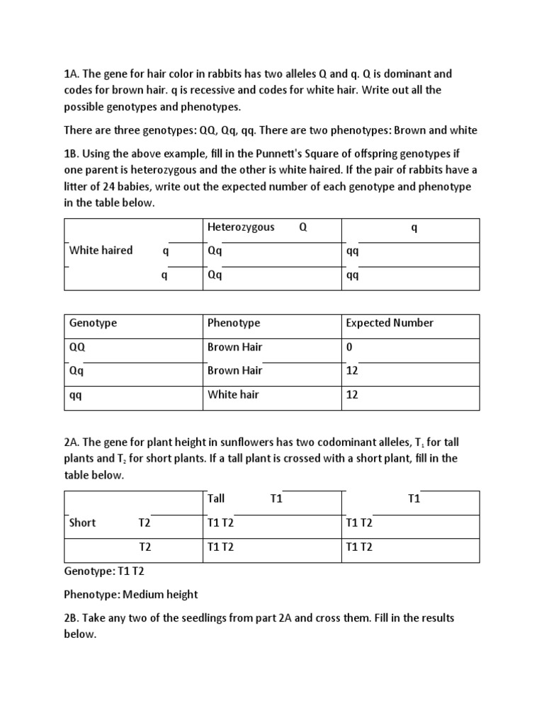 Genetics for Biology Students | PDF | Dominance (Genetics) | Zygosity
