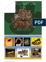 Conservation For Big Cats Project