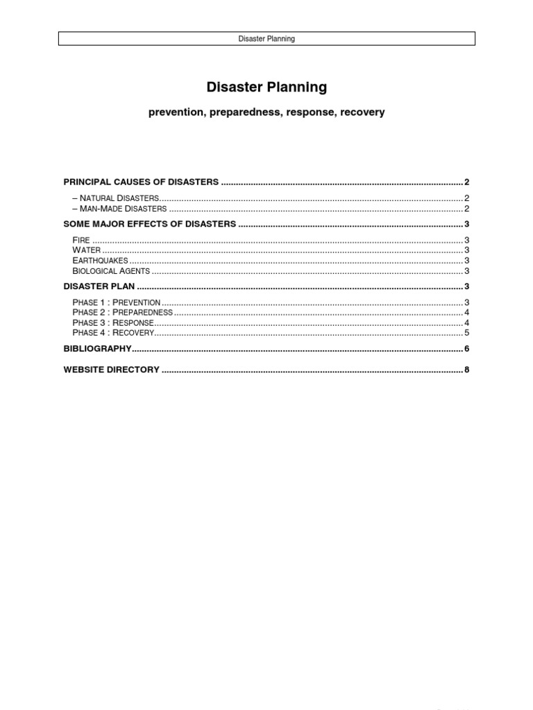 Disaster | PDF