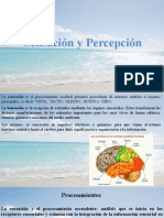 2.sensacion y Percepcion