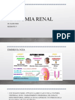 Anatomia Renal