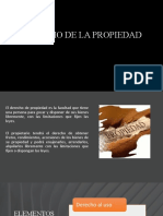 Derechos de La Propiedad