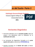 Horizontes Diagnostico