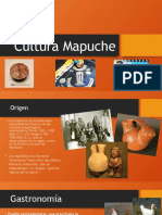 Cultura Mapuche