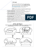 Fases Del Ciclo Del Agua