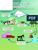 El Ciclo Del Carbono