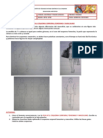 Guia Esquema Corporal Femenino y Masculino