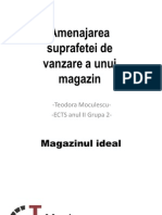 Amenajarea Suprafetei de Vanzare A Unui Magazin