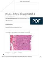 Desafio - Sistema Circulatório 2020-2