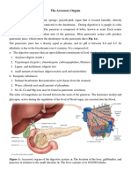 Lecture 9 Accessory Organs