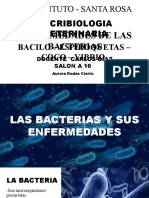 Bacterias y Enfermedades