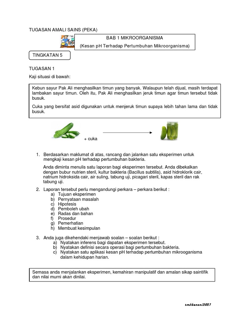 Arahan Tugasan Peka Sains SMK Benoni  PDF