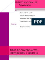 Tipos de Comerciantes PDF