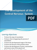 The Development of The Central Nervous System