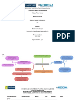 Mapa Conceptual de Medicina Basada en Evidencia