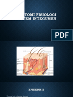 Anatomi Fisiologi Sistem Integumen