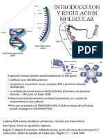 Introduccuion y Regulacion Molecular. Embrio 1