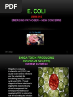 Download Ecoli 0104 H4 an Emerging Infection by doctorrao SN57076490 doc pdf
