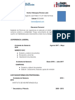 MODELO CV (2)(1) (1) (1)