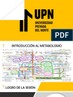 Teosía - Semana 2 - Metabolismo