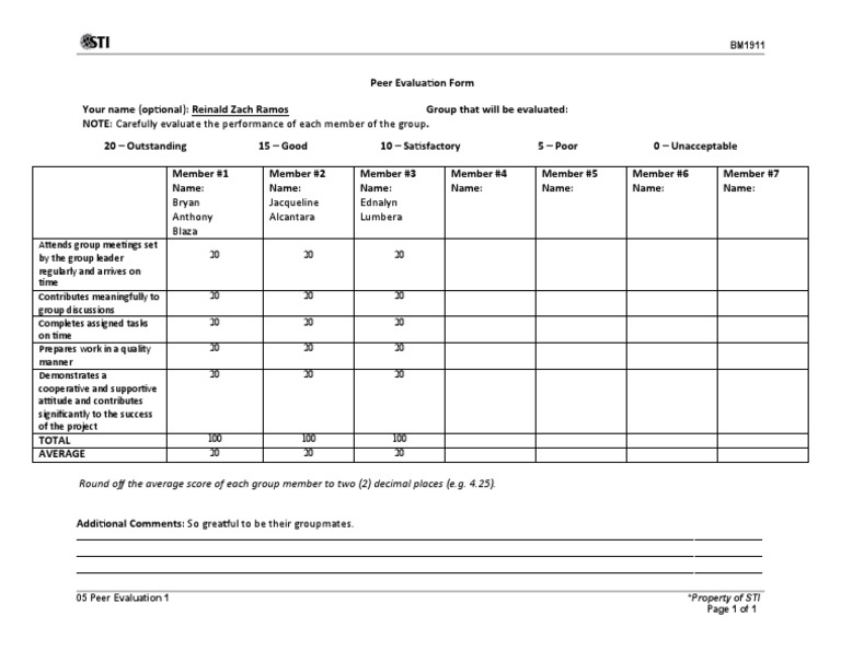 Peer Evaluation Summary Report | PDF