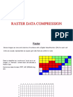Raster Data Compression