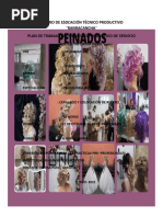 Plan de Trabajo Del Proyecto Productivo de Servicio - Cepillado y Colocacion de Ruleros