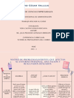 Matriz de Problemas (Hábitos) Que Afectan Su Entorno Personal, Afectación y Resultados Deseados