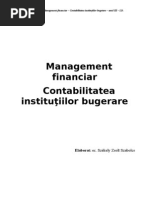 Managementul Financiar