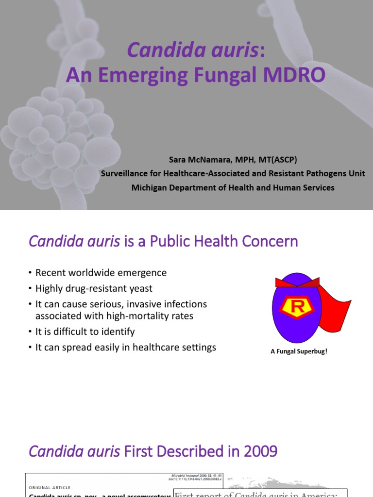 Candida Auris:: An Emerging Fungal MDRO | PDF | Candida (Fungus ...