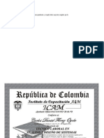 Por Haber Cursado y Aprobado Los Estudios Correspondientes y Cumplir Todos Requisitos Exigidos Por La