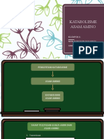 Katabolisme Asam Amino - Kelompok 4