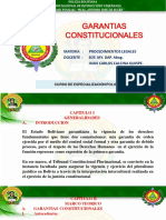 Garantias Constitucionales