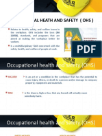 Occupational Heath and Safety (Ohs) : 11058), Standards, and Programs That Are
