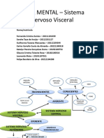 Sistema Nervoso Visceral Mapa Mental