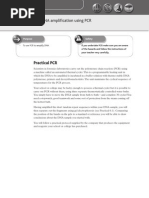 Download DNA Amplification Using PCR by Sachitra Wijethunga SN57086108 doc pdf